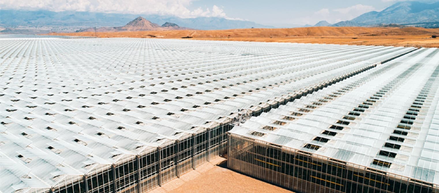 The Role of Glass in Greenhouse Agriculture: A Sustainable Futures