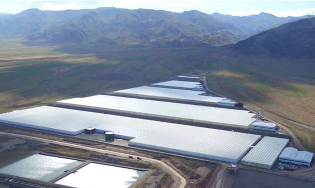 The Future of Greenhouse Agriculture and the Role of Glass 